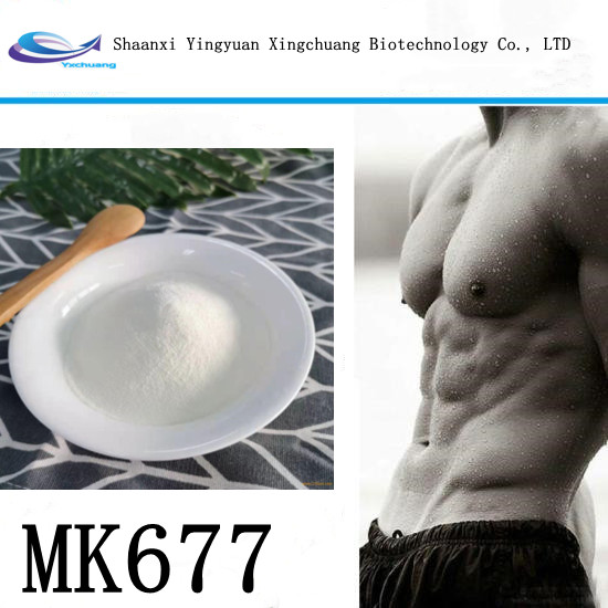 does mk 677 help burn fat