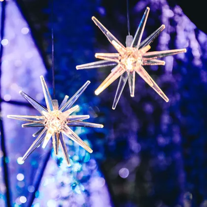 10 Heads Sea Urchin LED Light Hanging Ceiling Bubble Lamp for Wedding Venue Decor