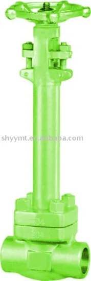 Forged steel bellow sealed Valve(Forged steel cryogenic valve,Y type check valve)