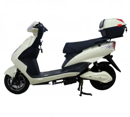 laggeage hook paraguay electric scooter