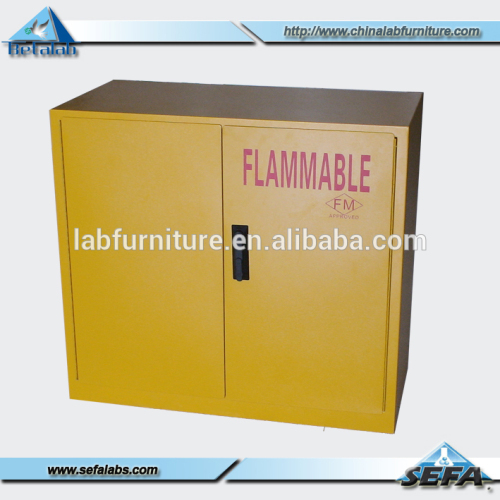 China Manufacturer Laboratory Steel Safety Cabinet