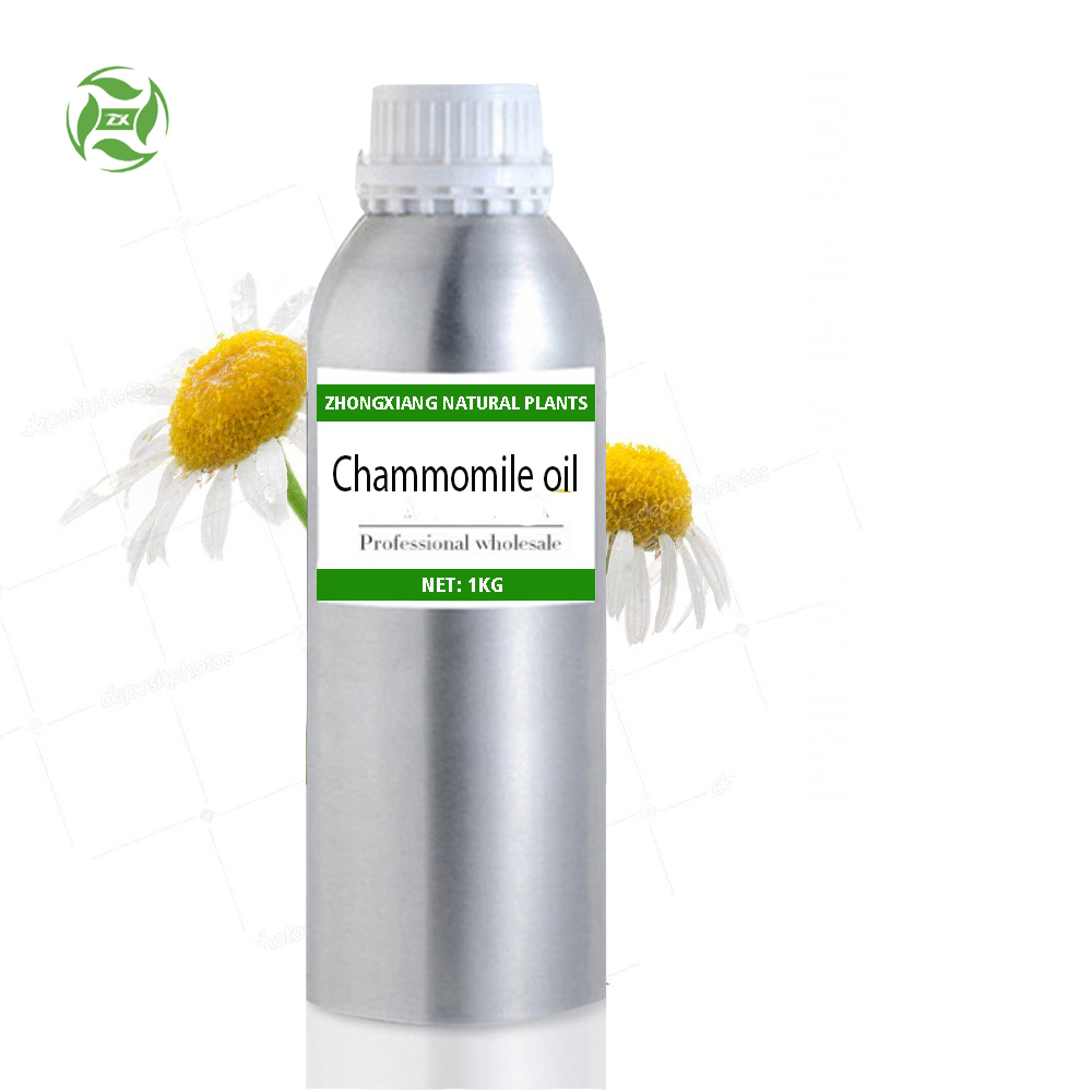 Private label 100% pure natural Roman Chamomile essential oil in bulk