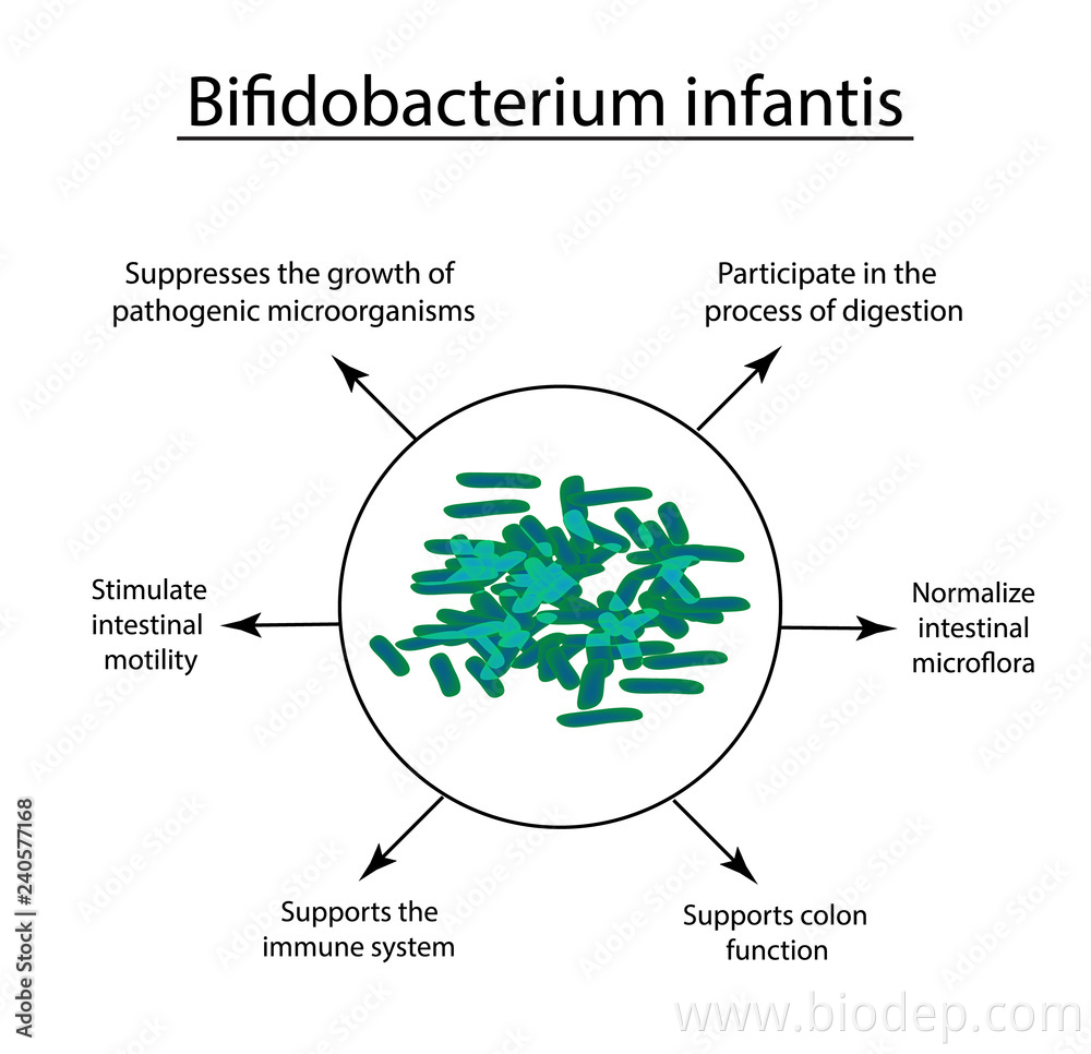 Infants original good bacteria bifidobacterium infantis China ...