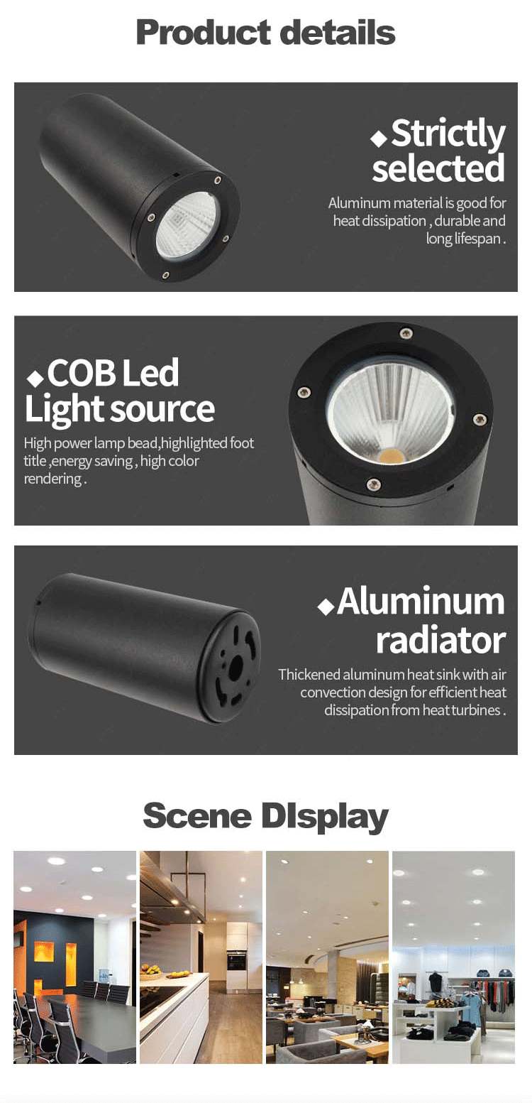 surface mounted ip65 downlight