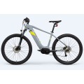 Mountain Electric Bike With Pedals