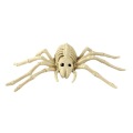 Skeleton Halloween Animal Bone