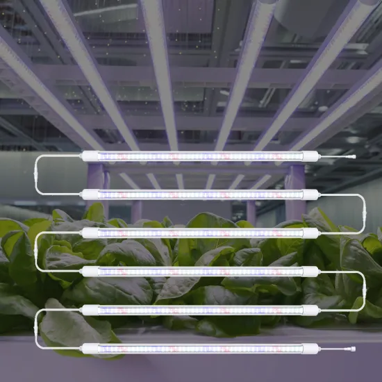 Greenhouse Farm Indoor Plant 9000K T8 T5 LED Tube Grow Light (Red Blue White Sunlike)