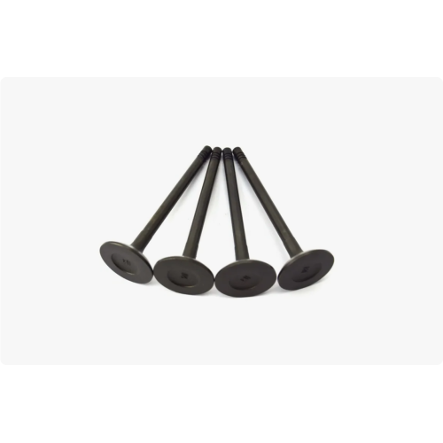 Intake Valve Replacement for OEM