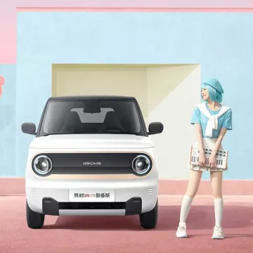 Mini Electric Adult Electric Car 3 Doors 4 Seats for Sale New Car Convenient Travel Rechargeable Household Electric Car Geely Panda