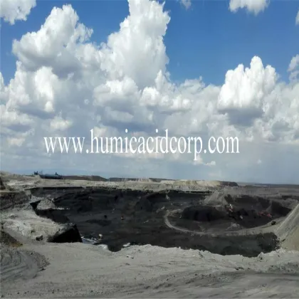 Nitro Humic Acid organic nitrogen soil fertilizer