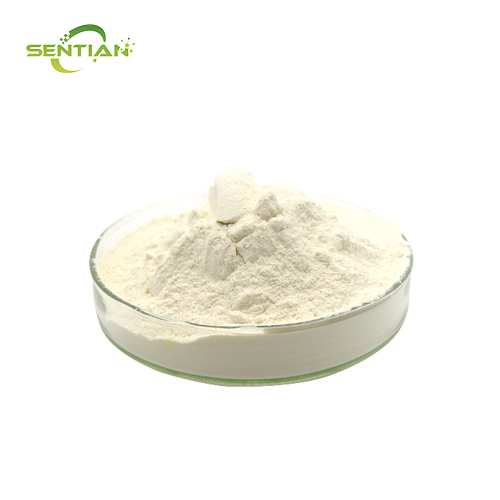 Plant-Based Potato Protein Isolate for Functional Foods