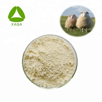 Food Additive Sheep Placenta Extract Placenta 70% Powder