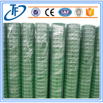 Dilas Holland Wire Mesh / Wire Mesh Netting