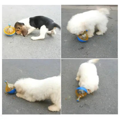 Interactive Food Snack Toy for Cats