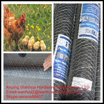 hot galvanized agriculture chicken hexagonal wire netting