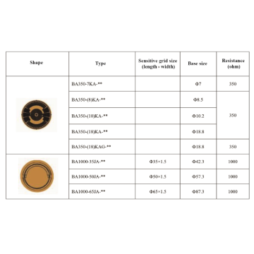 Strain Gage with Double Grids