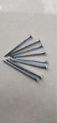 Boat Nail Square Nail for Construction