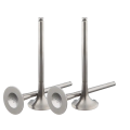 OEM Precision Matching Intake Valves