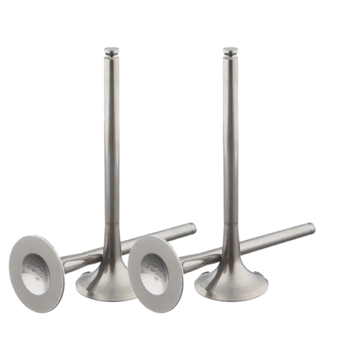 OEM Precision Matching Intake Valves