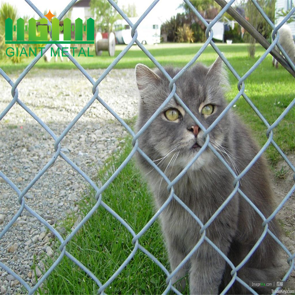 PVC Black Chain Link Fence for Garden