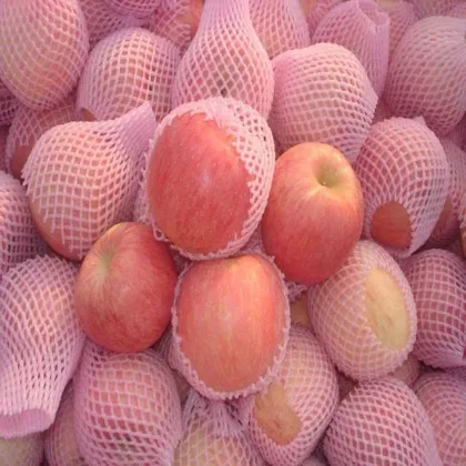 Fresh Fuji apple (long-term cooperation with India,EU,RU market )