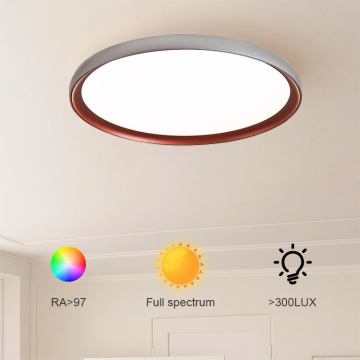 Minimaliste moderne de plafond de luxe nordique
