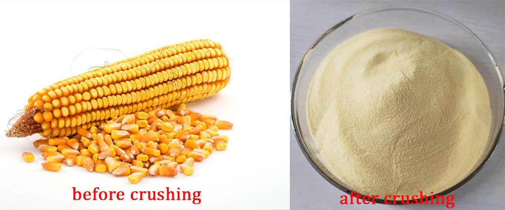 maize grinder