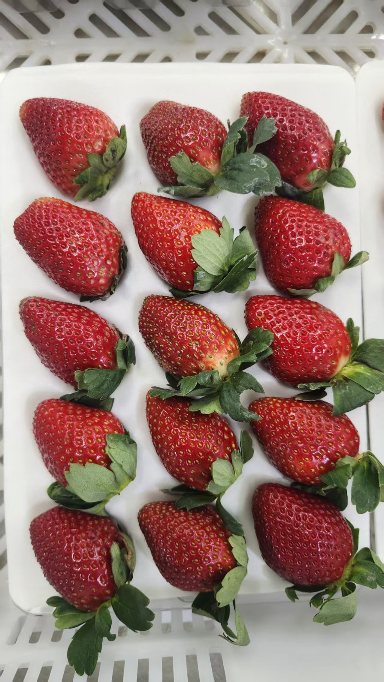 Strawberries725130233_335_30 Strawberries725130233_335_30