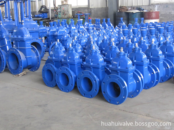 gate valve