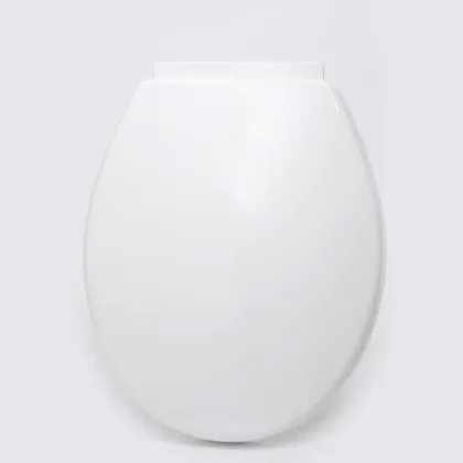 Luxurious Automatic Intelligent Smart Toilet Flusher Seat