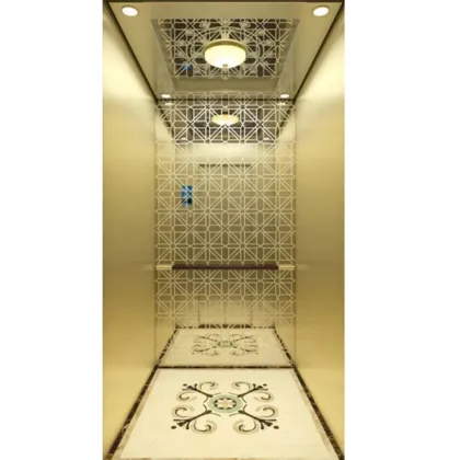 Fuji China Residential Passenger Elevator for Home Apartments