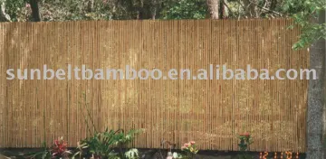 Bamboo fence Sun-009