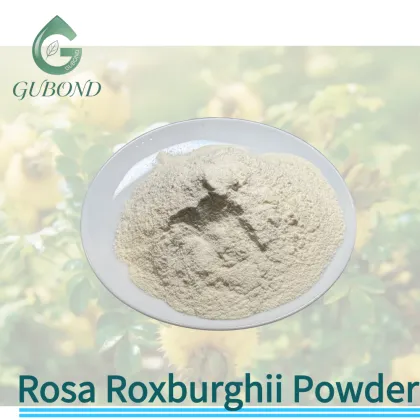 Rosa Roxburghii Fruit Powder for Vitamin C