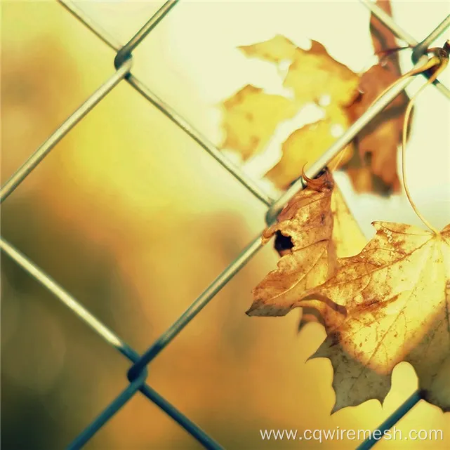 Virgin Chain Link Fence for Building Protection