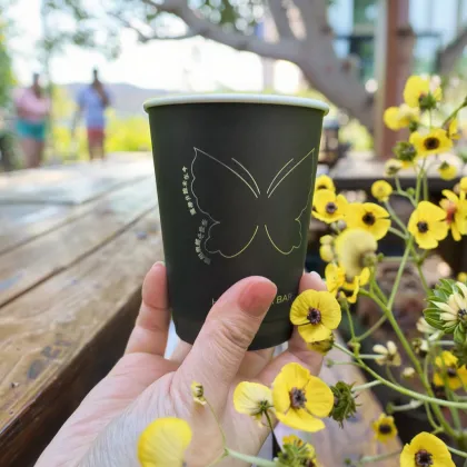 Biodegradable 10oz Insulated Coffee Cups
