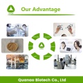 Olivenblatt-Extrakt 20% Hydroxytyrosol-Pulver CAS 10597-60-1