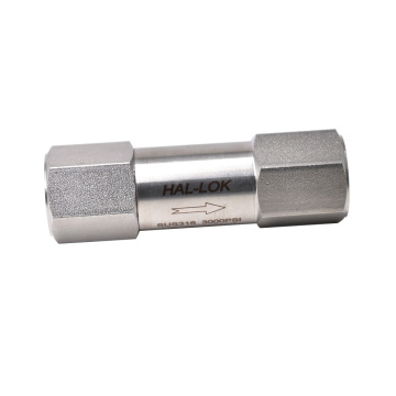 Stainless Steel High Pressure Female Thread Gas Filter