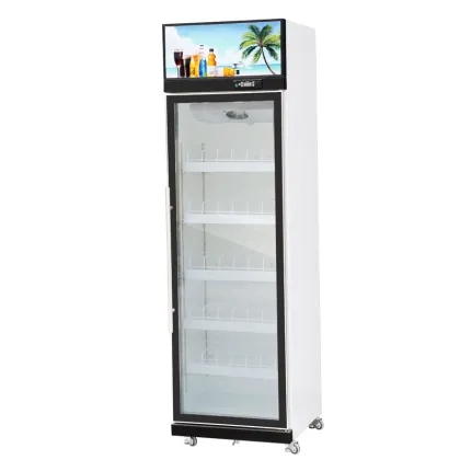 Large Capacity Hot Pepsi Wine for Commercial Restaurant Beverage Showcase