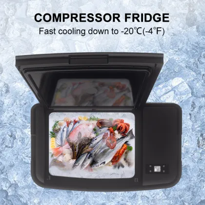 12V Tesla Accessory: 35L Car Fridge for Tesla DC Refrigerator
