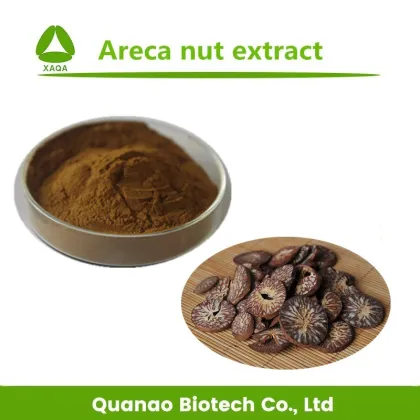 Areca Catechu Extract Arecoline Betel Nut Extract 10:1