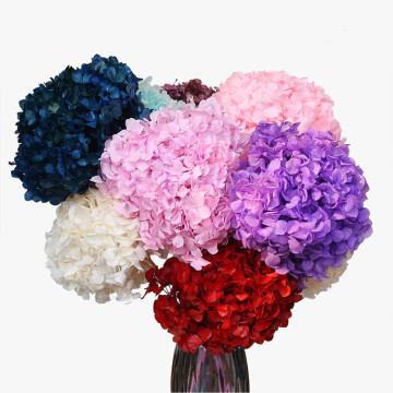 Wholesale Real Touch Hydrangea Flowers for Decorative Household Arrangements