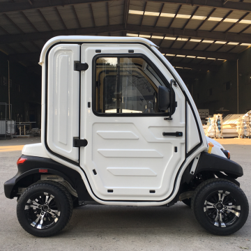 Custom Enclosed Golf Buggy China Mini EV Electro Electric 2 Seater Car
