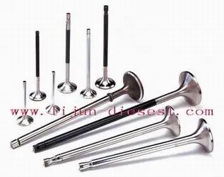valve spindle