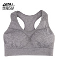 Young Sexy Women Seamless Sports Yoga Bra