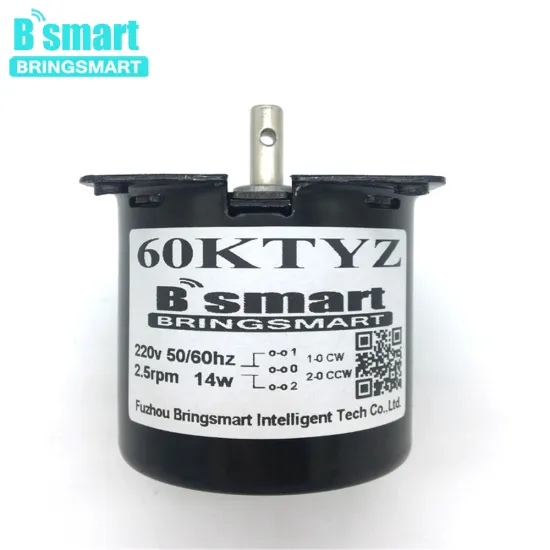 Bringsmart 60KTYZ AC Motor 220V 110V Synchronous Motor 2.5rpm Low Speed High Torque Mini Electric Metal Gear Reducer Motors bbq