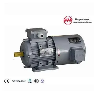 Y2vp (YVP) Series Three Phase Frequency-Variable & Speed-Regulation Motor