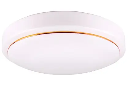 24W bathroom ceiling lights