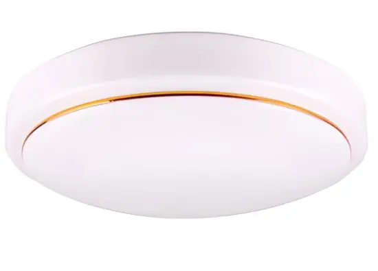 24W bathroom ceiling lights
