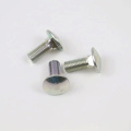 stainless steel carriage bolt with nut and washer