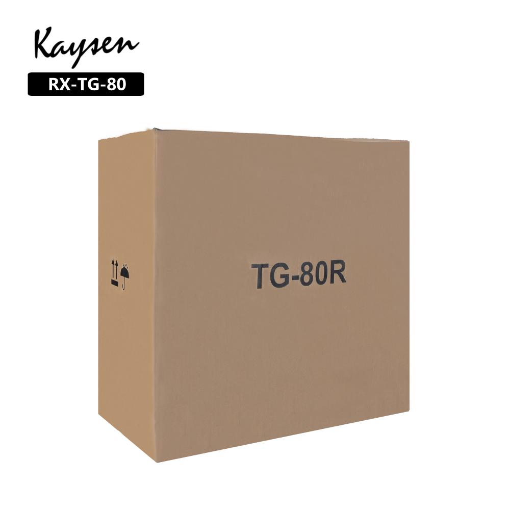 Kaysen 80 Watts Acoustic Guitar Amplifier Speaker Rx Tg 80 4